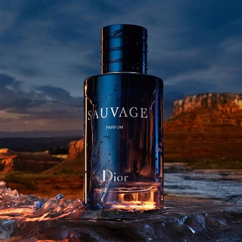 100ml dior savage|Dior Sauvage 100ml best price.